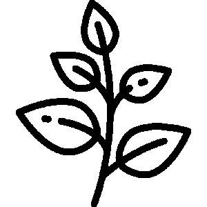 عرقیات گیاهی